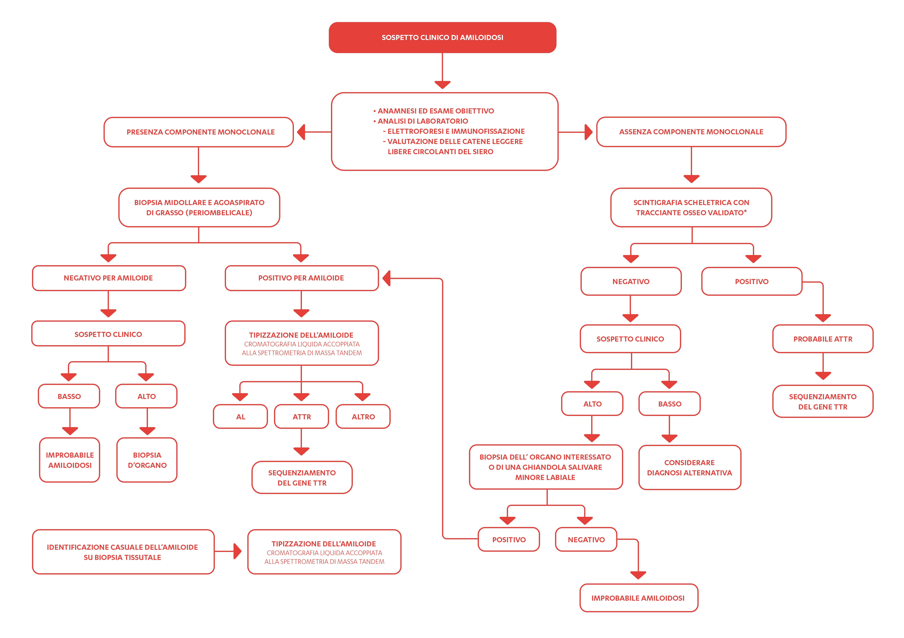 Algoritmo diagnostico per l'amiloidosi AL sistemica