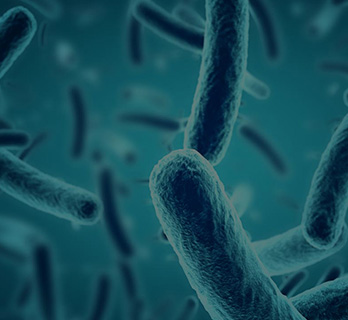 Health policy & management