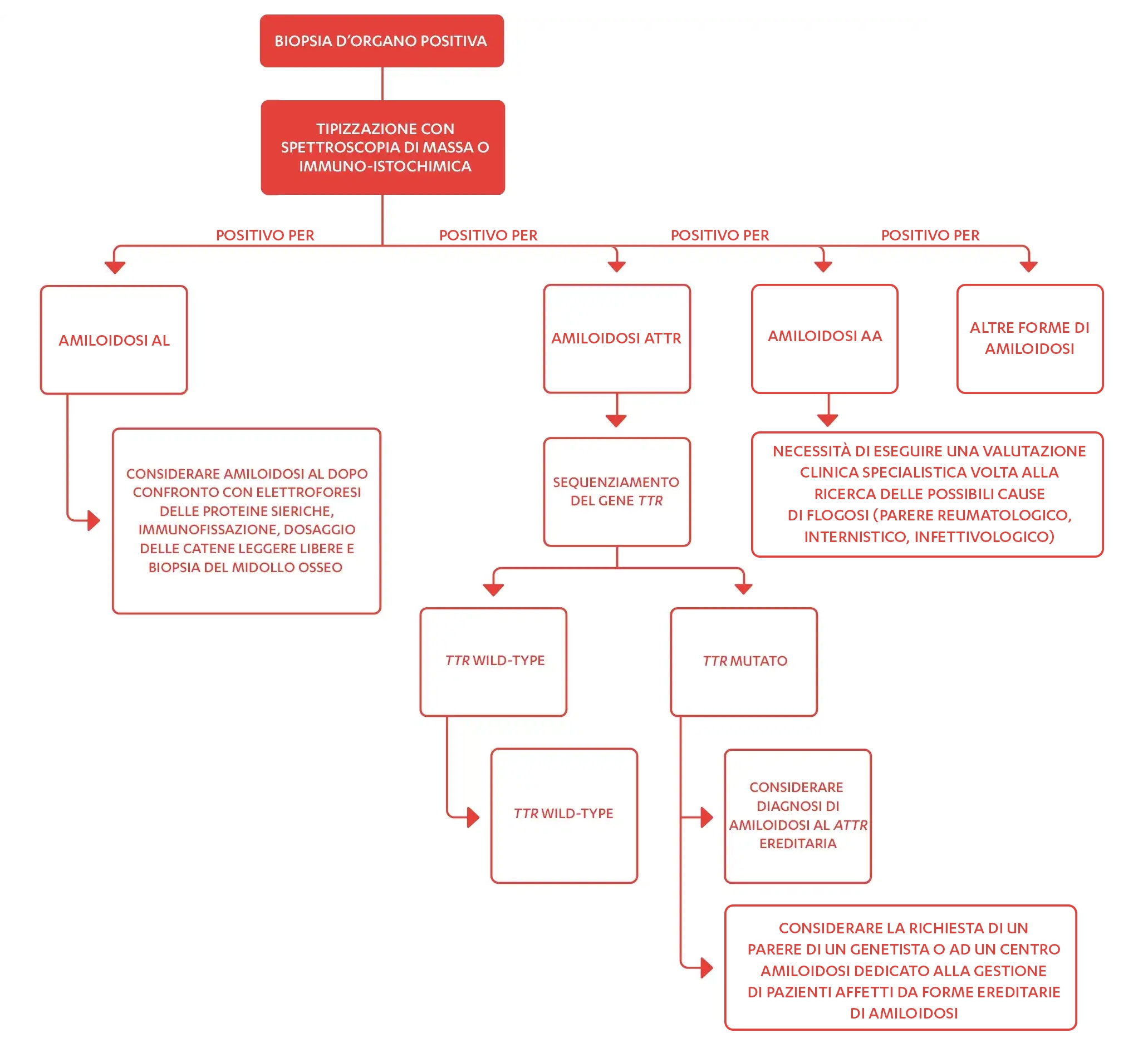 CONSIDERAZIONI SUI SOTTOTIPI DI AMILOIDOSI AL