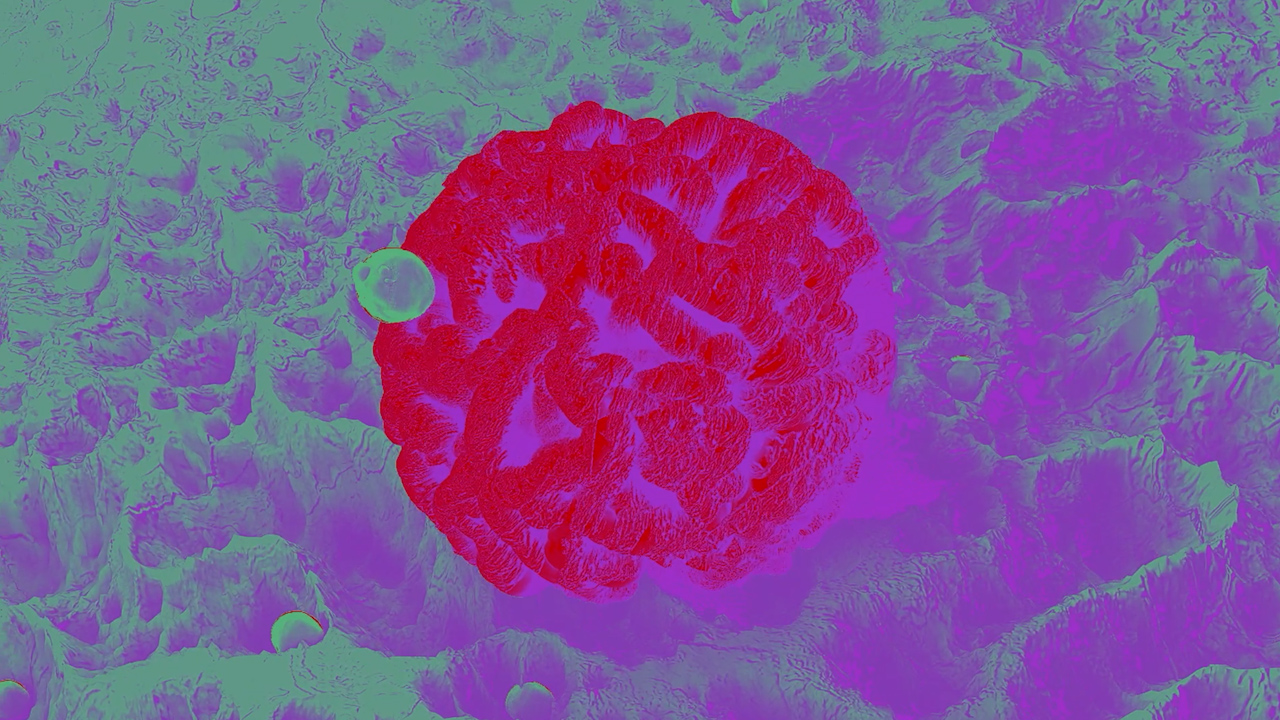 scopri-le-nostre-aree-terapeutiche