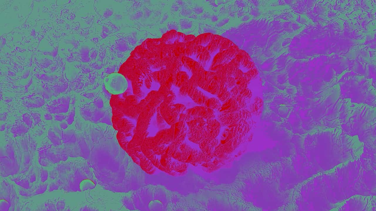 Le nostre aree terapeutiche