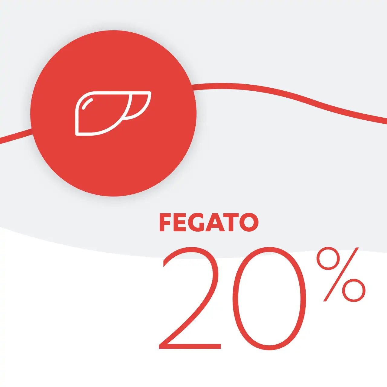 Fegato 20%