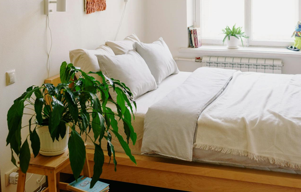 Moisissure dans chambre à coucher: causes & solutions