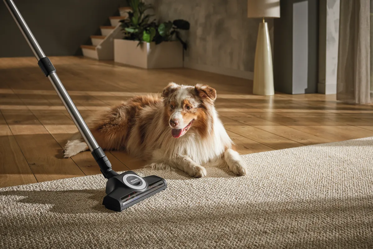 Floorcare Experience