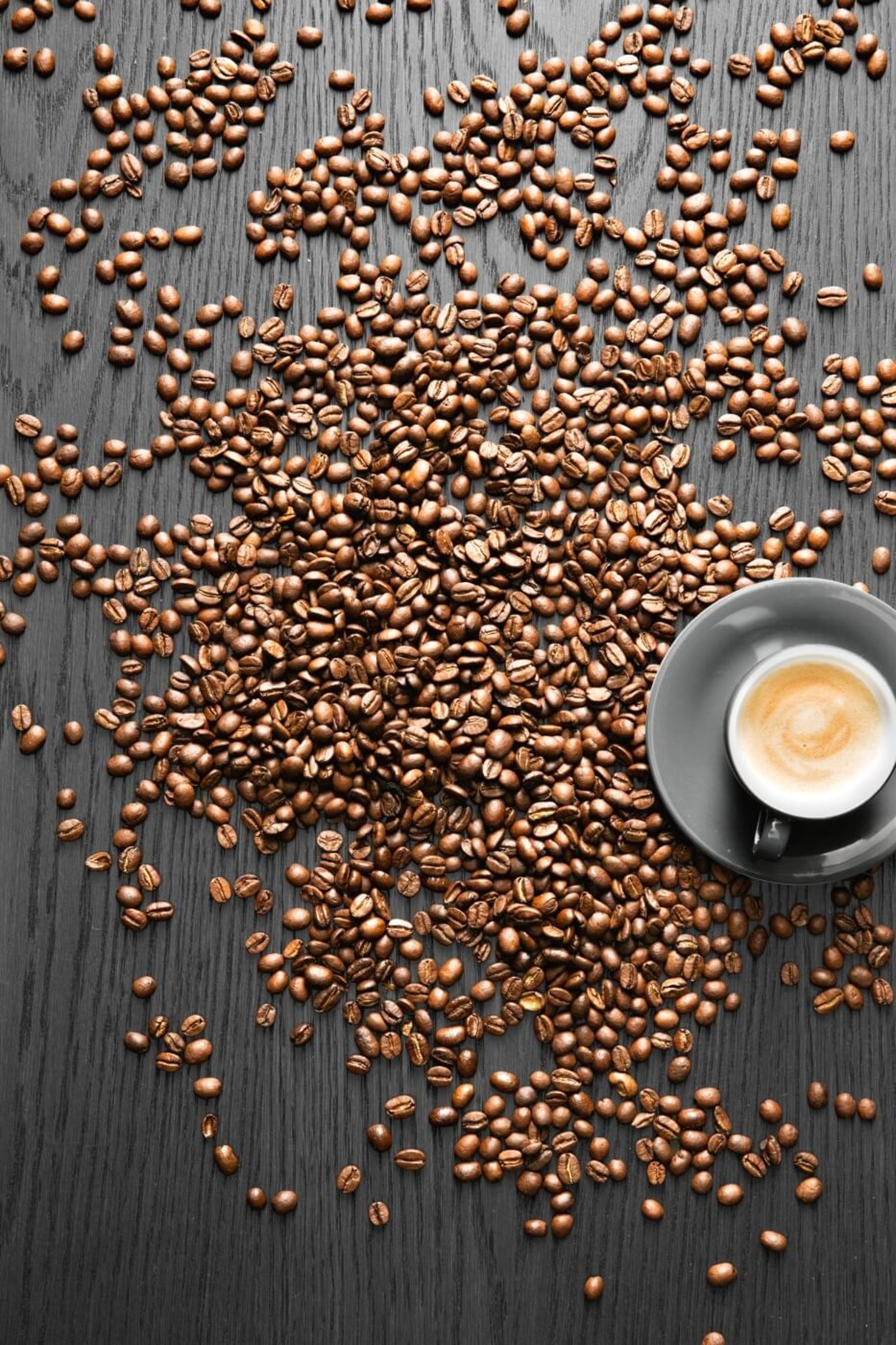 Savour Café Quality Coffee At Home By Choosing The Right Appliance