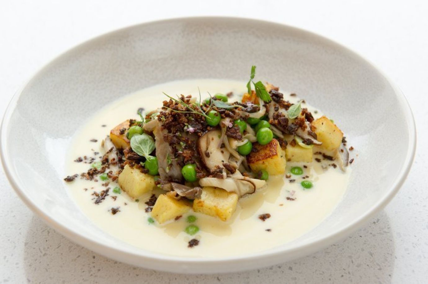 Ricotta and parmesan gnocchi with parmesan sauce, burnt cepes and fresh truffles