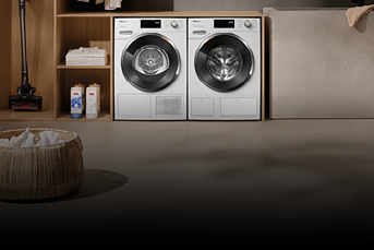 MI_13964_Mobile_July_SILVER_Laundry_343x229.jpg