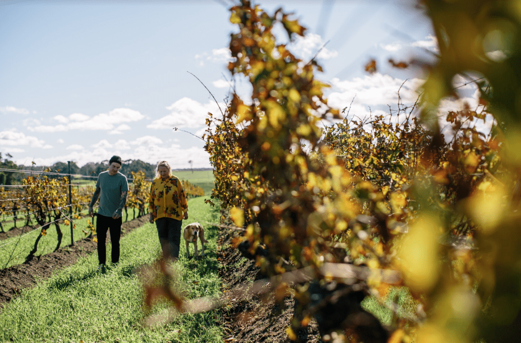 Matt and Vanya walking through the vineyard to discuss sustainable agriculture