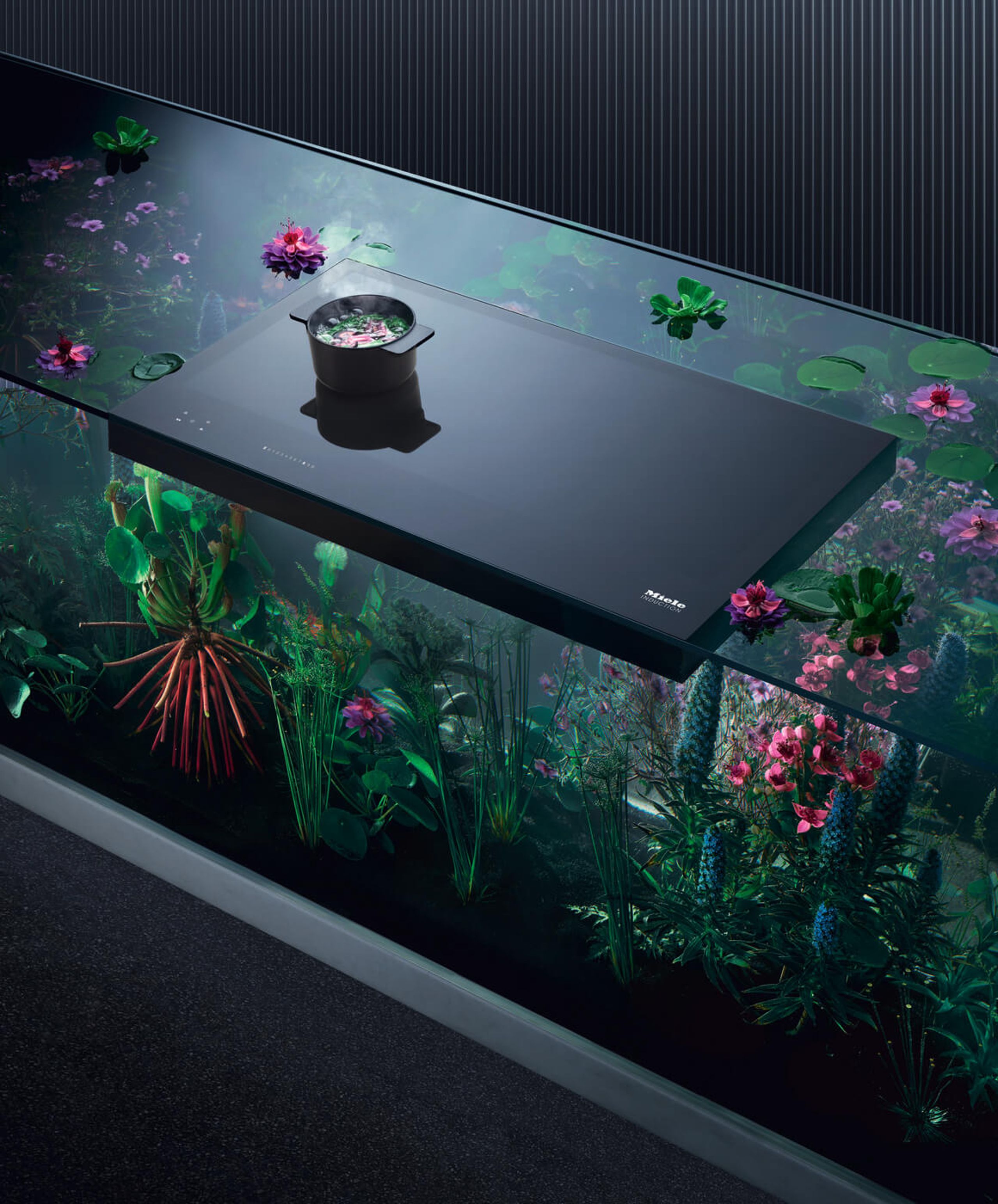 Experience More Freedom than Ever Before with Our New Induction Cooktop