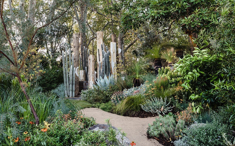 Beautiful green garden with cacti, ferns and flowers