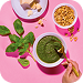 Pesto