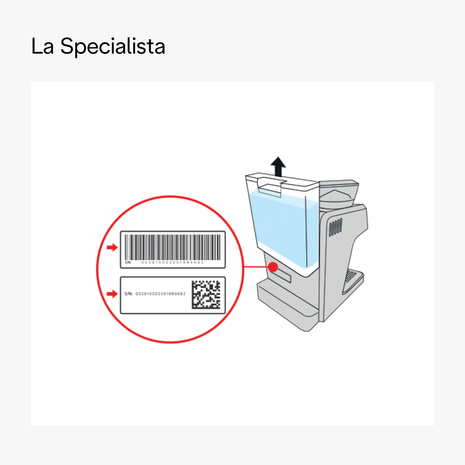La Specialista