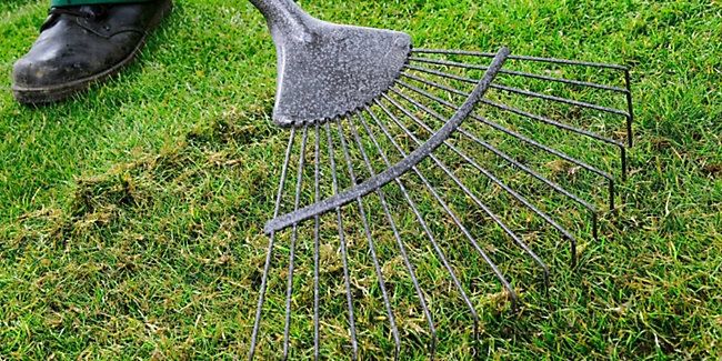 wickes-garden-lay-lawn-turf-23.webp