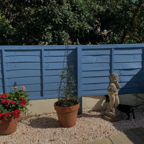 Decorative Accessories