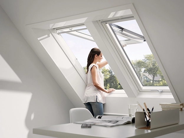 VELUX Windows