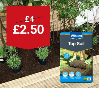 Hero-Desktop-Topsoil-WasNow-Gardens-July.webp