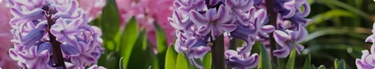 Ideas & Advice Card-Spring-2026.webp