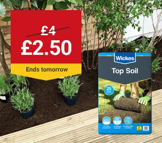 tomorrow-Hero-Desktop-Topsoil-Gardens-WasNow-July.webp