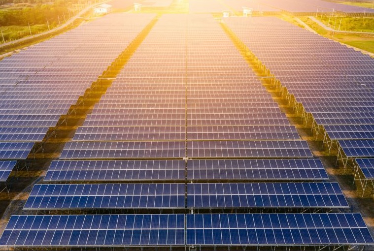 lots of solar panels.jpg