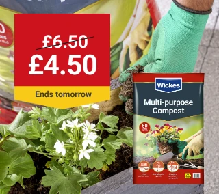tomorrow-Hero-Desktop-Compost-Gardens-WasNow-August.webp