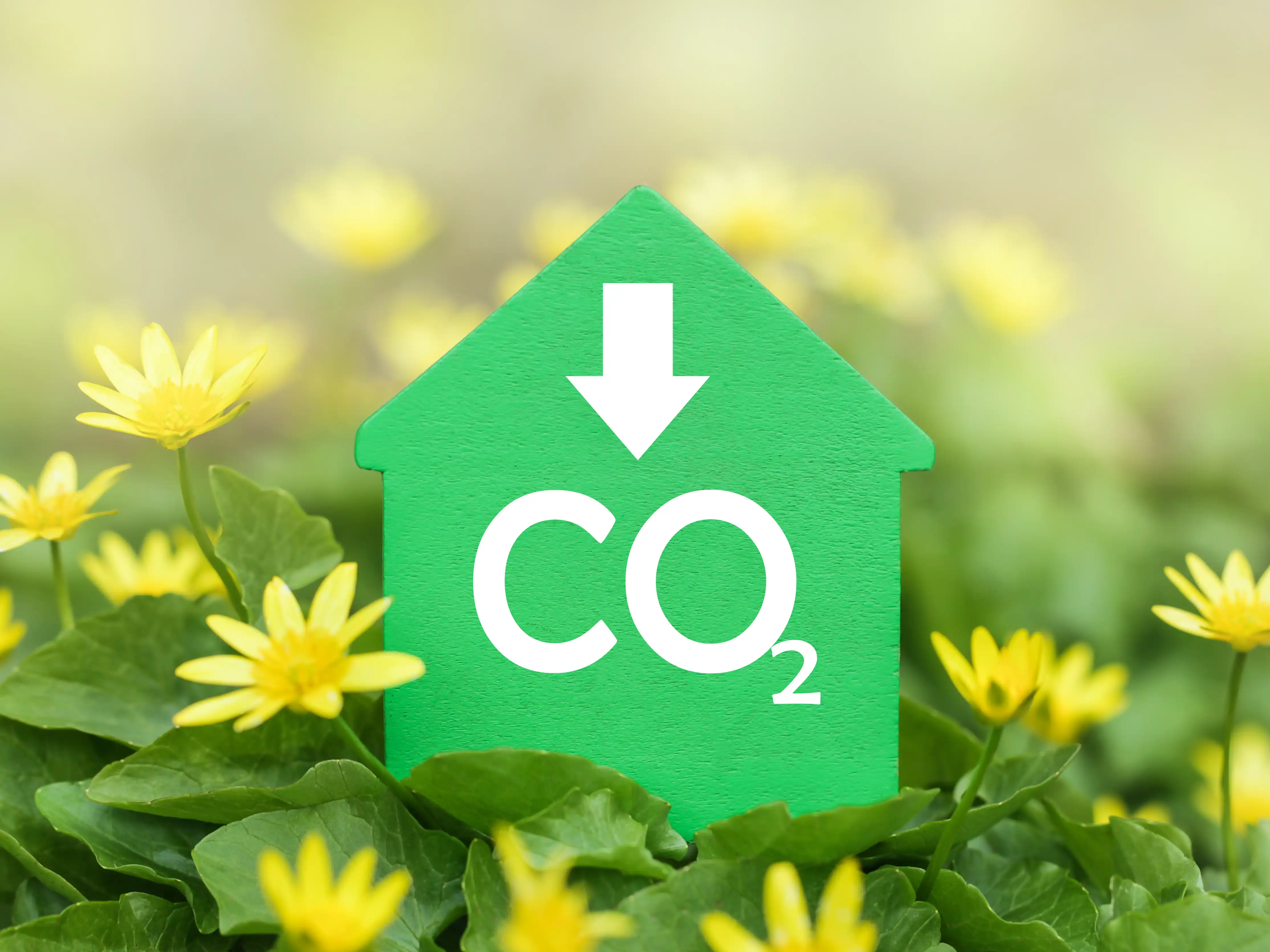 wickes-energy-saving-heat-pump-advantages-6.webp