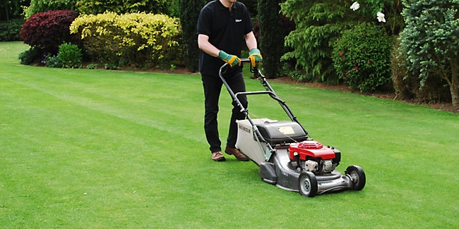 wickes-garden-lay-lawn-turf-20.webp