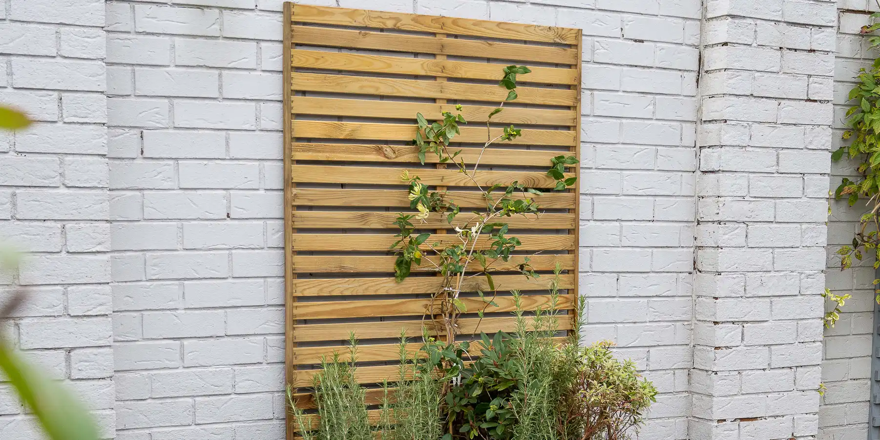 wickes-gardens-attach-a-trellis-8.webp