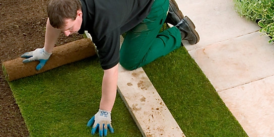 wickes-garden-lay-lawn-turf-14.webp