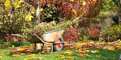 240919_autumn1_lawncare_main.jpg