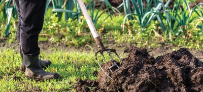 3.Digging_soil.jpeg