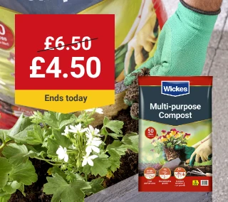 today-Hero-Desktop-Compost-Gardens-WasNow-August.webp