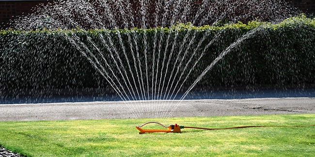 wickes-garden-lay-lawn-turf-18.webp