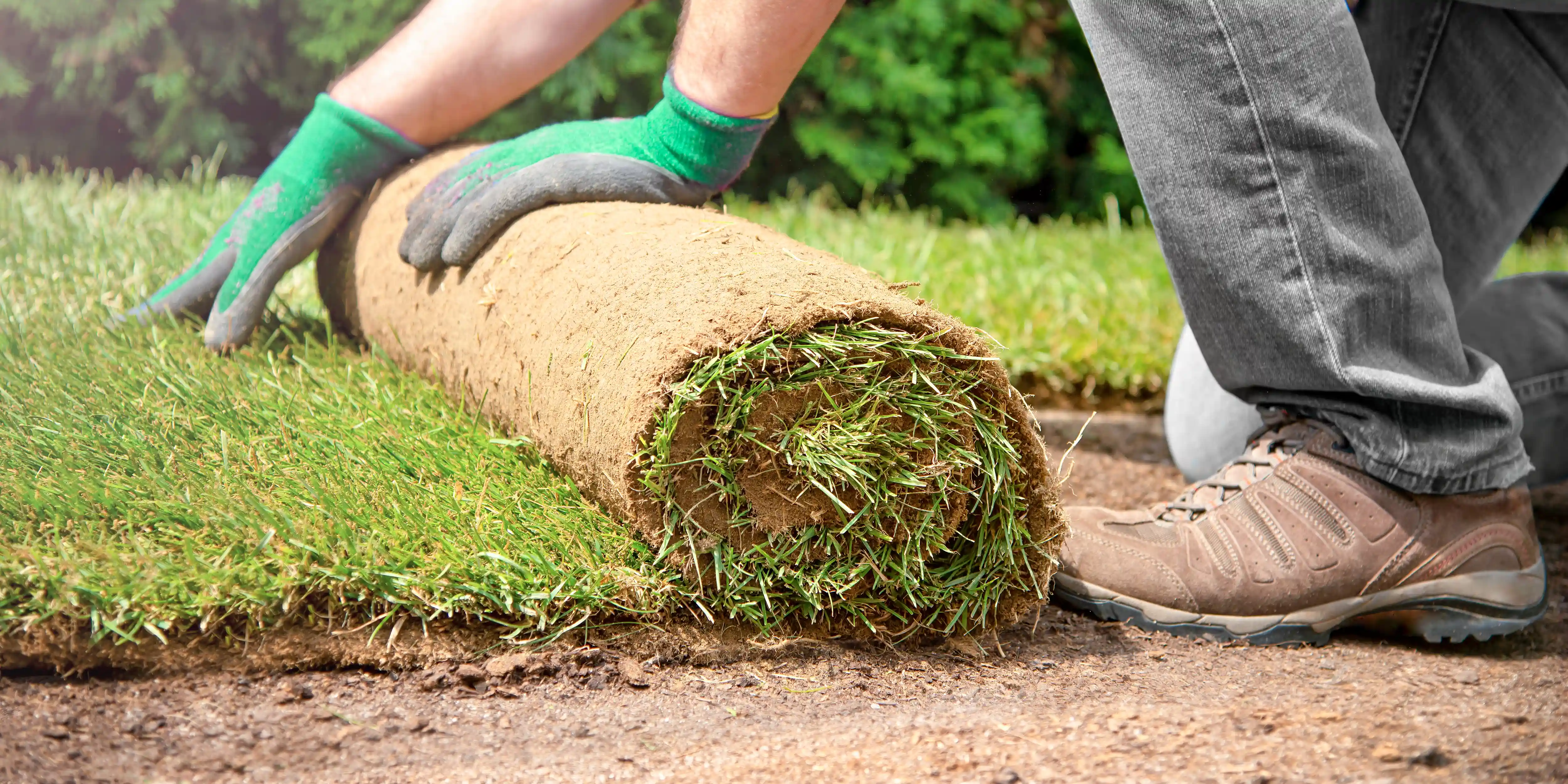 wickes-garden-lay-lawn-turf-2.webp