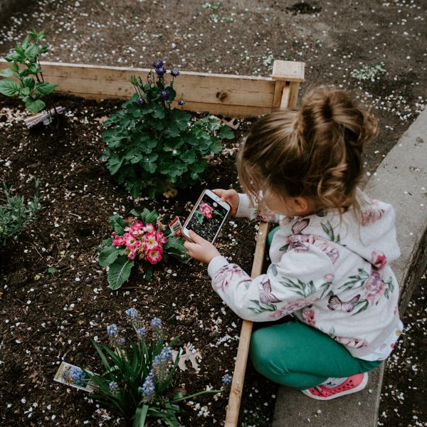 Summer planting with children