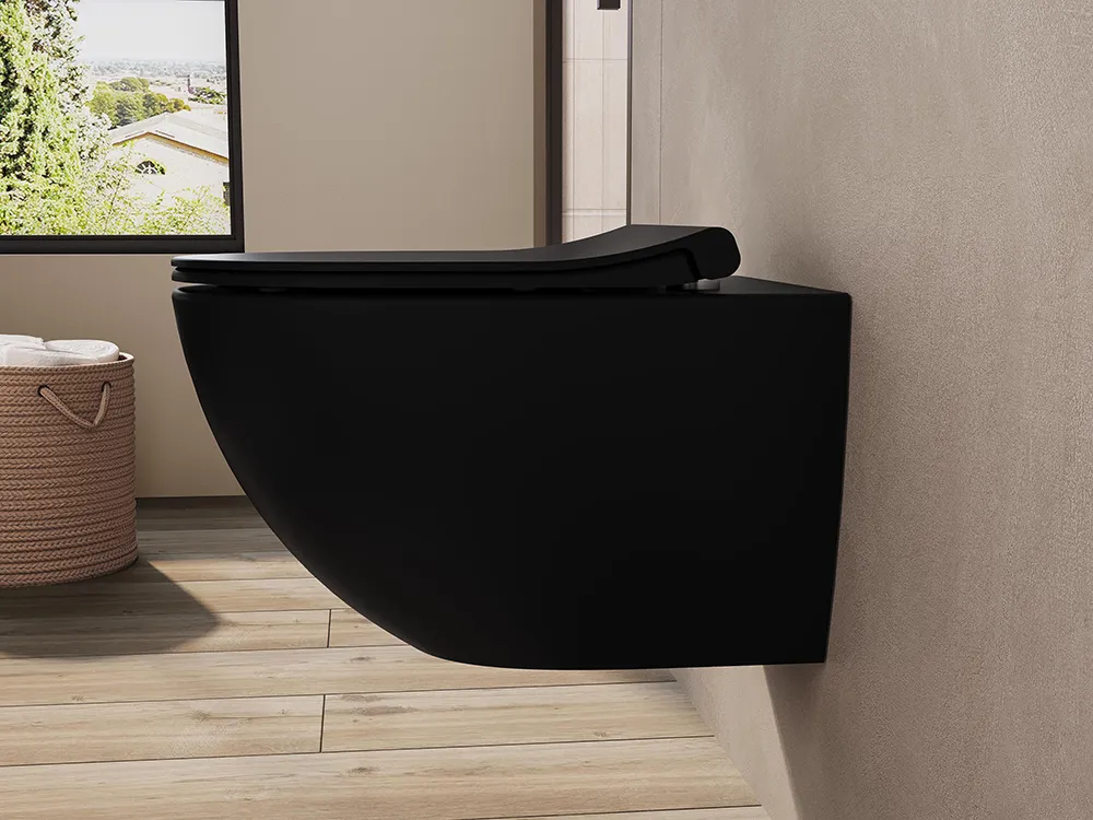 vitra-wall-hung-toilet.jpg