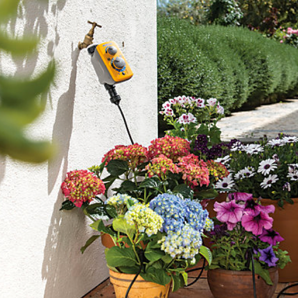 Hozelock Automatic Watering Kit