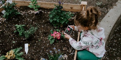 220719-SummerContent2-SummerPlanting-Flowers.jpg