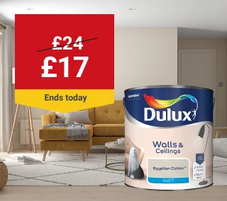 today-Hero-Desktop--Dulux-2.5L-WasNow-February.webp