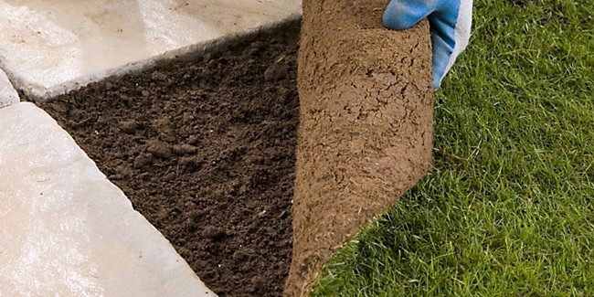 wickes-garden-lay-lawn-turf-19.webp