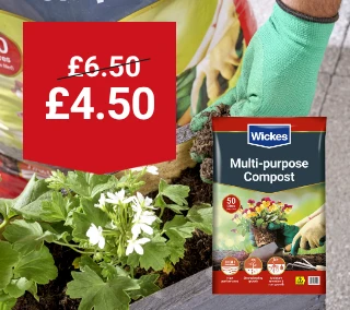 Hero-Desktop-Compost-WasNow-Gardens-August.webp