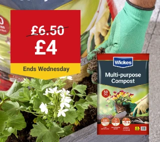 -Hero-Desktop-Compost-WasNow-May_3.webp
