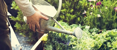 7.Watering_plants.jpeg