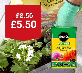 Hero-Desktop-Miracle-Gro-WasNow-Gardens-July.webp