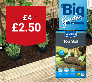 Hero-Desktop-Top-Soil-WasNow-Garden-September.png