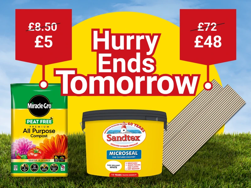 2220x600-EndsTomorrow-August-5-Day-Deal.webp