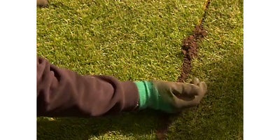 11.How_to_lay_turf.jpeg