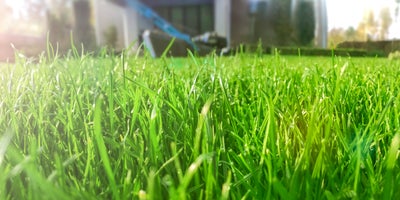 Preparing_your_lawn_title_V2.jpg