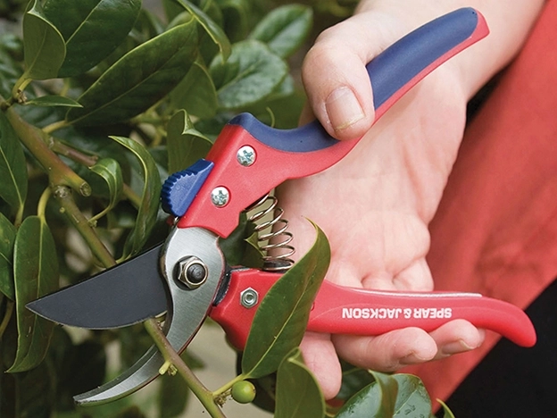 Garden Hand Tools & Accessories