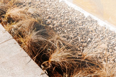 Grasses and pebbles