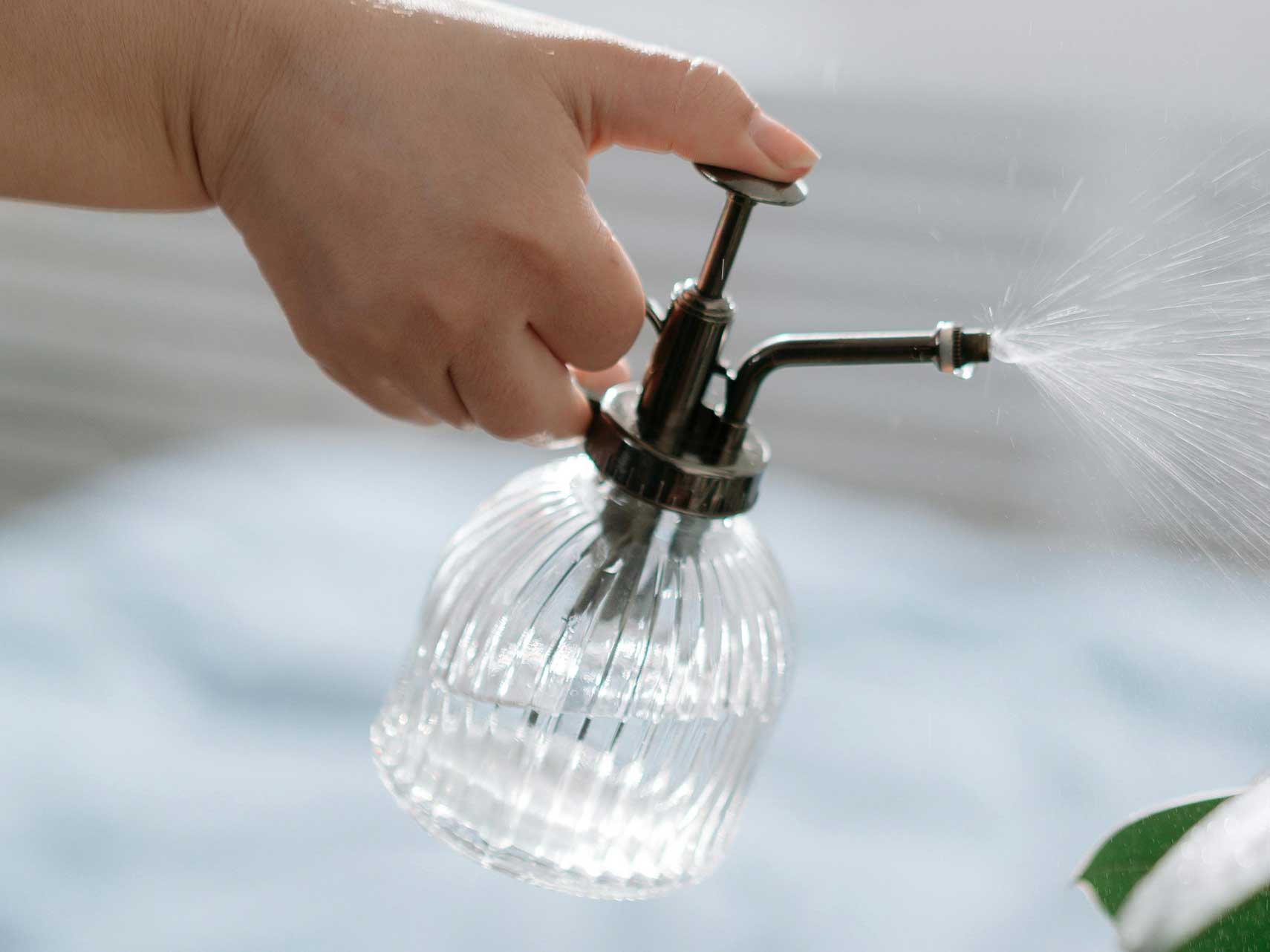 orchid-watering.jpg